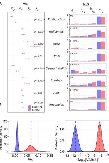 Figure 1 vcance was determined by per-mutation. Right: The estimateddiscretized DFE for each species,with the proportion of mutationwith deleteriousfor control (and RNAi (red) genes