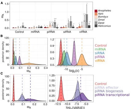 Figure 2 DFE-alpha estimates of**RNAi subpathways using DFE-alpha. Thebootstrapping across genes