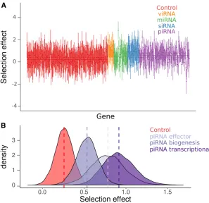 Figure 3 SnIPRE-like selection effects. (A) SnIPRE selectionremoved) are plotted for each gene in each species, col-ored according to the geneSolid horizontal lines signify the mean selection effect foreach RNAi subpathway (or control genes) with dotted li