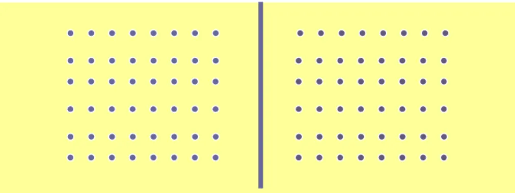 Figure 6.  Array slides layout.  The left side of the array slides printed 1,018 cDNAs  originated from the shortleaf pine cDNA library, and the right side printed 1,319 cDNA  from the loblolly pine cDNA library