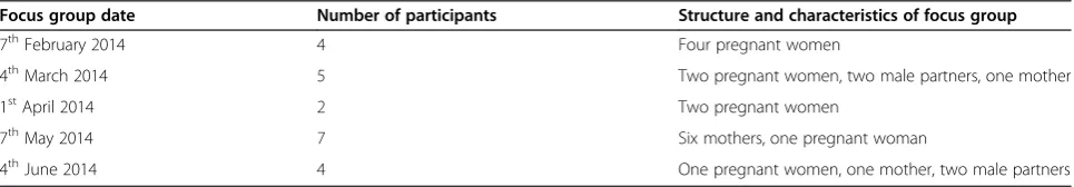 Table 1 Characteristics of focus groups