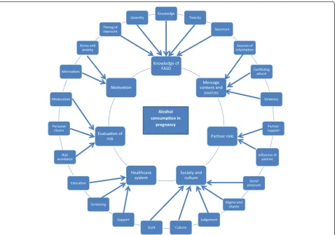 Figure 1 Thematic map of codes and themes.