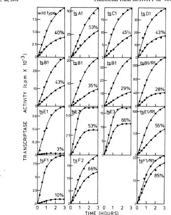 FIG. 2.furtheradditionatbation 39°C Heat stability of the virion-associated RNA transcriptase activity of the ts mutants during incu- at 39°C for 30 min
