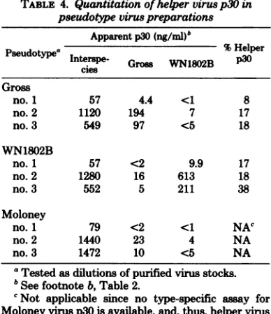 TABLE 4. Quantitation of helper virus p30 inpseudotyJpe viruwpreparations