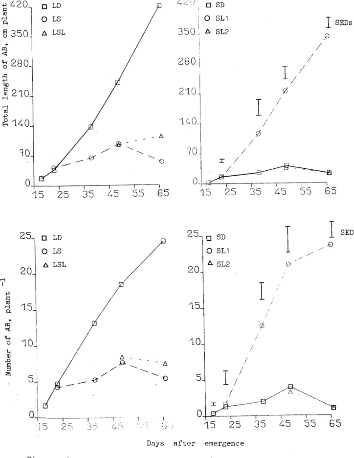 Figure 2.4.1.3 The effects of photop~riod on number and total length of the axillary br~nches (AB).