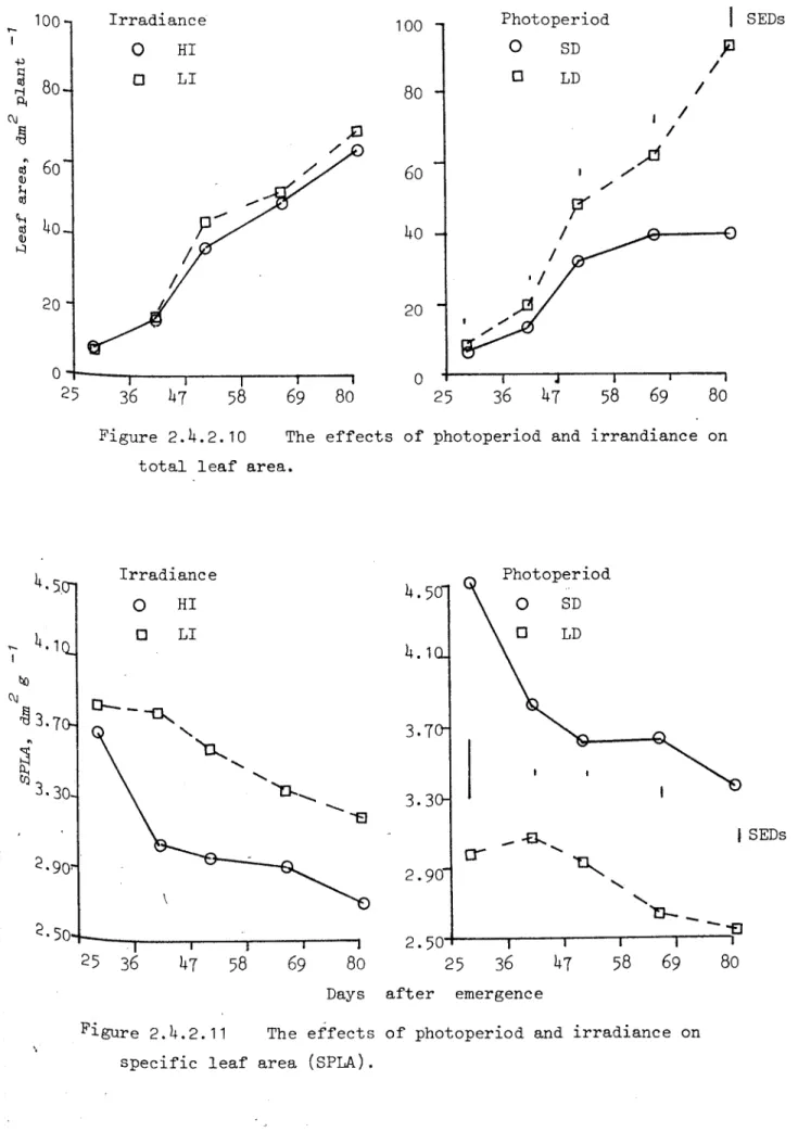 Figure 2.4.2.10 The effects of photoperiod and irrandiance on total leaf area.