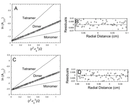 Figure 10. Analytical ultracentrifugation of procaspase-3(C163S) and pro-less 