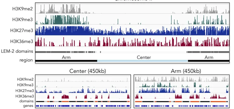 Figure 1 Histone modilated domains marked by H3K27me3 and H3K36me3. H3K36me3 is found in active chromatin domains (orange) and H3K27me3 in regulated chromatindomains (black), which are separated by border regions (gray)