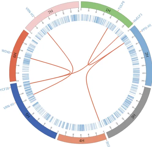 Figure 3 Genetic map of the barley Multiparent Advanced Generation Inter-Cross population with the epistatic interactions
