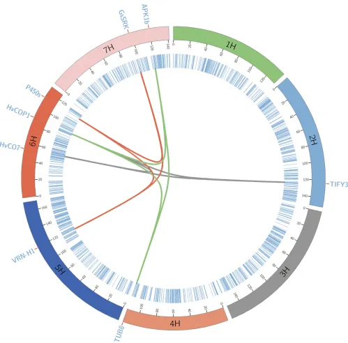 Figure 4 Genetic map of the barley Multiparent Advanced Generation Inter-Cross population with the three-way interactions