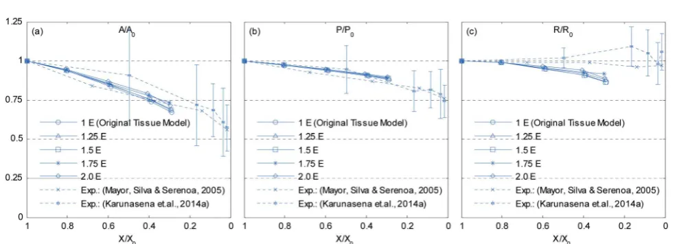 Fig. 24Sensitivity of 19-cell tissue at(e) 2.5 X/X0 ¼ 1.0 for pectin layer stiﬀness (kpectin): (a) 0.5 kpectin