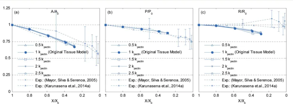 Fig. 26Sensitivity of 19-cell tissue at(e) 2.5 X/X0 ¼ 0.3 for pectin layer stiﬀness (kpectin): (a) 0.5 kpectin