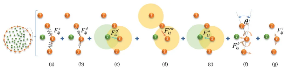 Fig. 2Force interactions used in the DEM-based cell wall model: (a) stibonded wallﬀ forces