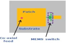 Fig 1 Feed-forward network model 