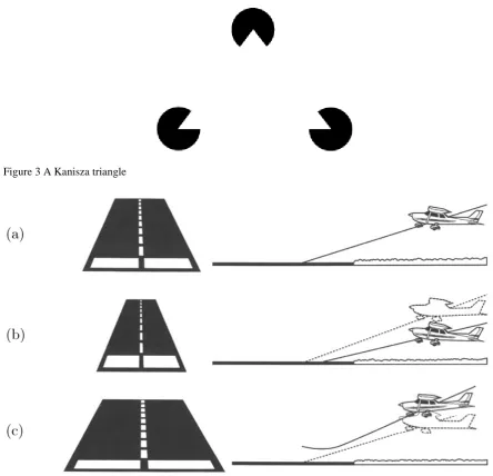 Figure 3 A Kanisza triangle 