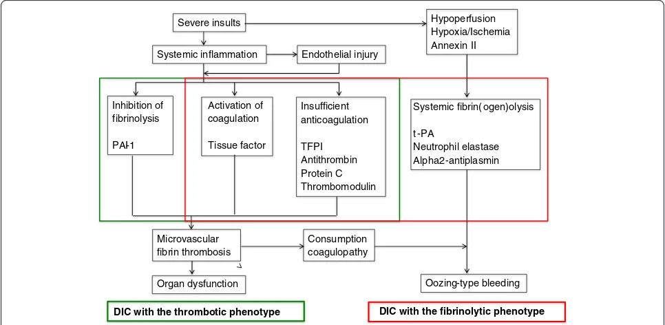 Figure 2 The two phenotypes of disseminated intravascular coagulation (DIC). Although the activation of the tissue factor-dependentpathway as the initial step of the coagulation cascade and the presence of insufficient anticoagulation systems are the same,