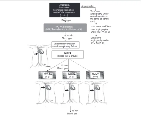 Figure 1 Study protocol. Heparin was infused to maintain an active clotting time of 180 to 220 sec after ECMO cannulation during the wholeexperiment