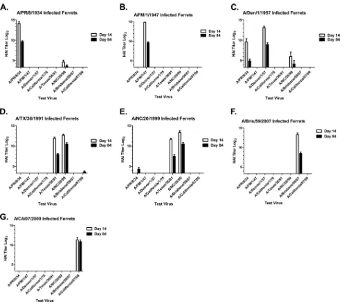 FIG 5 Hemagglutination inhibition (HAI) serum antibody titers induced by single H1N1 infection of ferrets