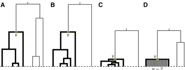 Figure 1 Genealogical trees under the standard neutralbranches and the rest of the tree is de(thin) branches