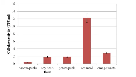 Figure 8. The effect of different substrates on cellulase production using T.reesei using SSF at 25oC, 6 