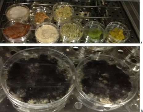 Figure 1. Solid state fermentation for enzyme production. a) Different FWs after fungal inoculation on 