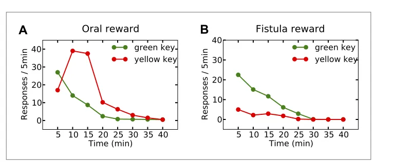 Figure 7. Experimental results (adapted from McFarland, 1969) on learning the reinforcing effect of oral vs