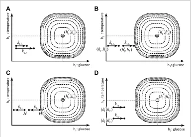 Figure 4. Schematic illustration of the behavioral properties of the drive function. (A) excitatory effect of the dose of outcome on its rewarding value