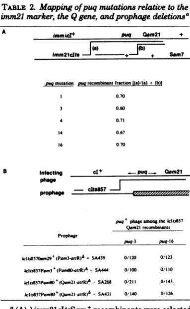 FIG. 2.phages Turbid-plaque-forming (recombinants between the imm4
