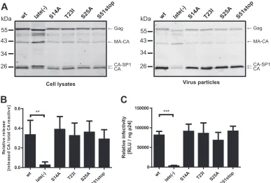 FIG 2 Effects of single mutations in p6 on Gag processing, viral release, and infectivity