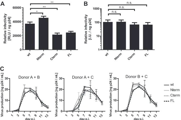 FIG 6 Effects of multiple mutations in p6 on viral infectivity and replication kinetics in primary cells