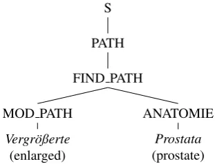 Figure 2: Learning lexical knowledge from sentence Vergr¨oßerte Prostata (enlarged prostate)