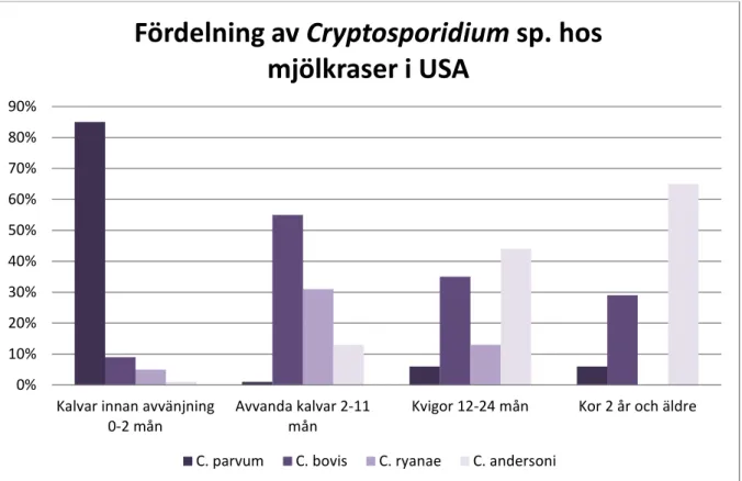 Figur 2. De fyra huvudsakliga bovina Cryptosporidium spp. i olika åldersspann hos djur med  kryptosporidios