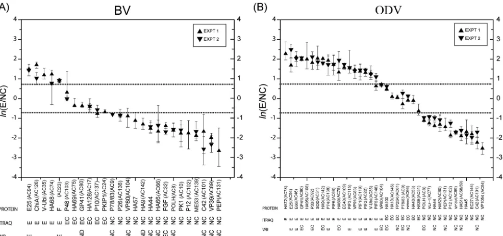 FIG 2 Summary of the protein localization results from iTRAQ and Western blotting (WB) for BV (A) and ODV (B)