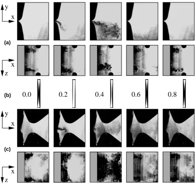 Figure 5: Photographs of the glottal ﬂow through the model of the leaky glottis visualizedby injected ﬂuorescent Rhodamine dye: (a) HG(–) at the xy- and xz-planemiddle cross-section)at the xy- and xz-plane (respective, (b) exposure time t/T0 and images of the glottal area, (c) HG(+) (respective middle cross-section)