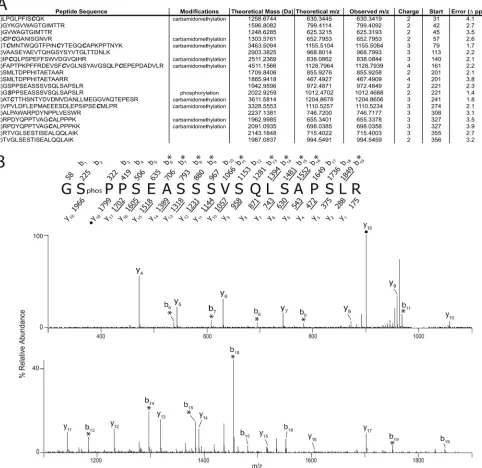 FIG 1 Identiﬁcation of serine 222 as a phosphorylation acceptor. (A) A comprehensive list of NS5A peptides identiﬁed following LC-MS-MS analysis.Peptide sequences are listed along with their theoretical mass, theoretical and observed m/z values, and associ