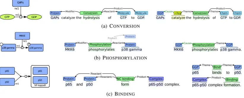 Figure 2: Illustration of pathway reaction (left), matching representation as an idealized text-bound eventstructure (middle) and applied event representation for statements actually appearing in text (right).