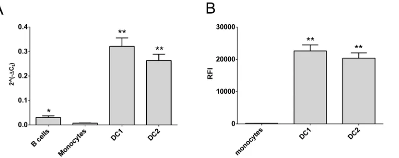 Fig 5. CD40 expression is higher in differentiated dendritic cell subsets. CD40 expression was determined in freshly purified immune cell subsets (Bcells, monocytes) or in vitro differentiated dendritic cells (DC1, DC2) from healthy controls