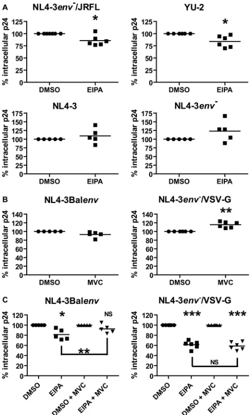 FIG 2 CCR5 binding by gp120 is required for macropinocytosis of HIV-1 in