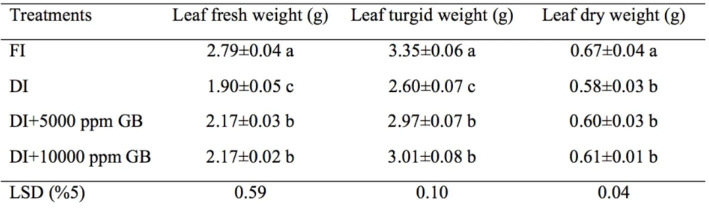 Table 1. Differences in leaf characteristics in response to water applications and glycine betaine  treatments.