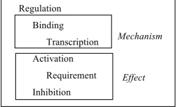 Figure 2. Types of Interaction relations 