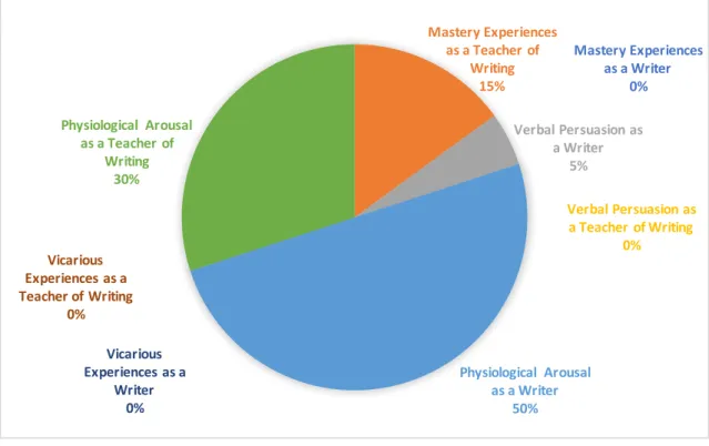 Figure 6. Patsy’s Sources of Efficacy Information 