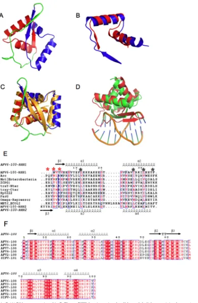 FIG 1 Structure of AvtR. (A) Ribbon presentation of AvtR. The two RHH domains are in red and blue, and the linker containing the extra �-strand is in green.(B) Superposition of the two RHH domains of AvtR