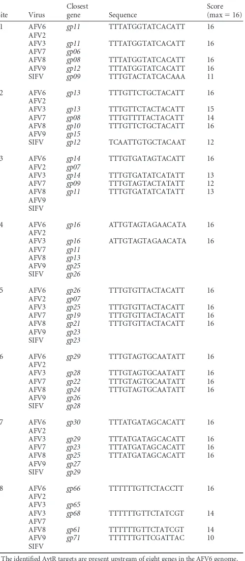 TABLE 3 List of putative AvtR targets in the Lipothrixviridae familya