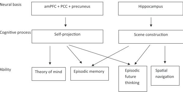 Figure 1.Schematic interpretation of the theory put forward by Hassabis, Kumaran, and Maguire (2007).amPFC � anterior medial prefrontal cortex; PCC � posterior cingulate cortex.