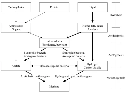Figure 2-1 Metabolic pathways and corresponding microbial communities of anaerobic digestion   