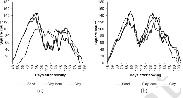Figure 5: Simulated daily square count in sand, clay loam and clay zones for strategies that use weather, soil and plant data for model calibration (RefModel)