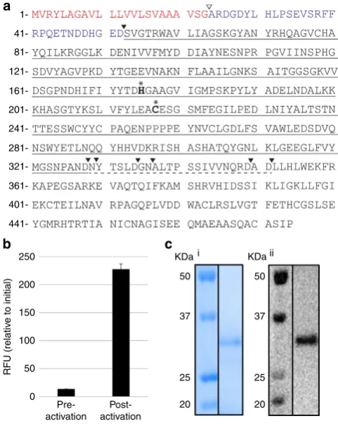 Table 1 | Kinetic parameters of IQF peptide cleavage by rOaVPE1b.