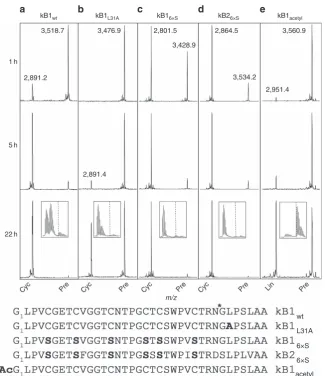 Figure 4 | Modiﬁed linear kB1 and kB2 precursors are cyclized at different rates. MALDI MS spectra of ((site