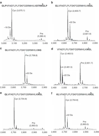 Figure 6 | Flanking sequence requirements for cyclization of a model peptide by rOaAEP1