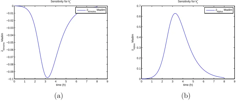 Figure 9: (a) Sensitivity w.r.t. k−I ; (b) Sensitivity w.r.t. k+I